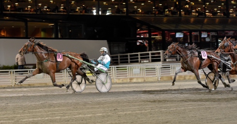 Pastorns Lady har en perfekt uppgift när V86 på onsdagen lockar med superjackpot. Foto av Lars Jakobsson/TR Bild